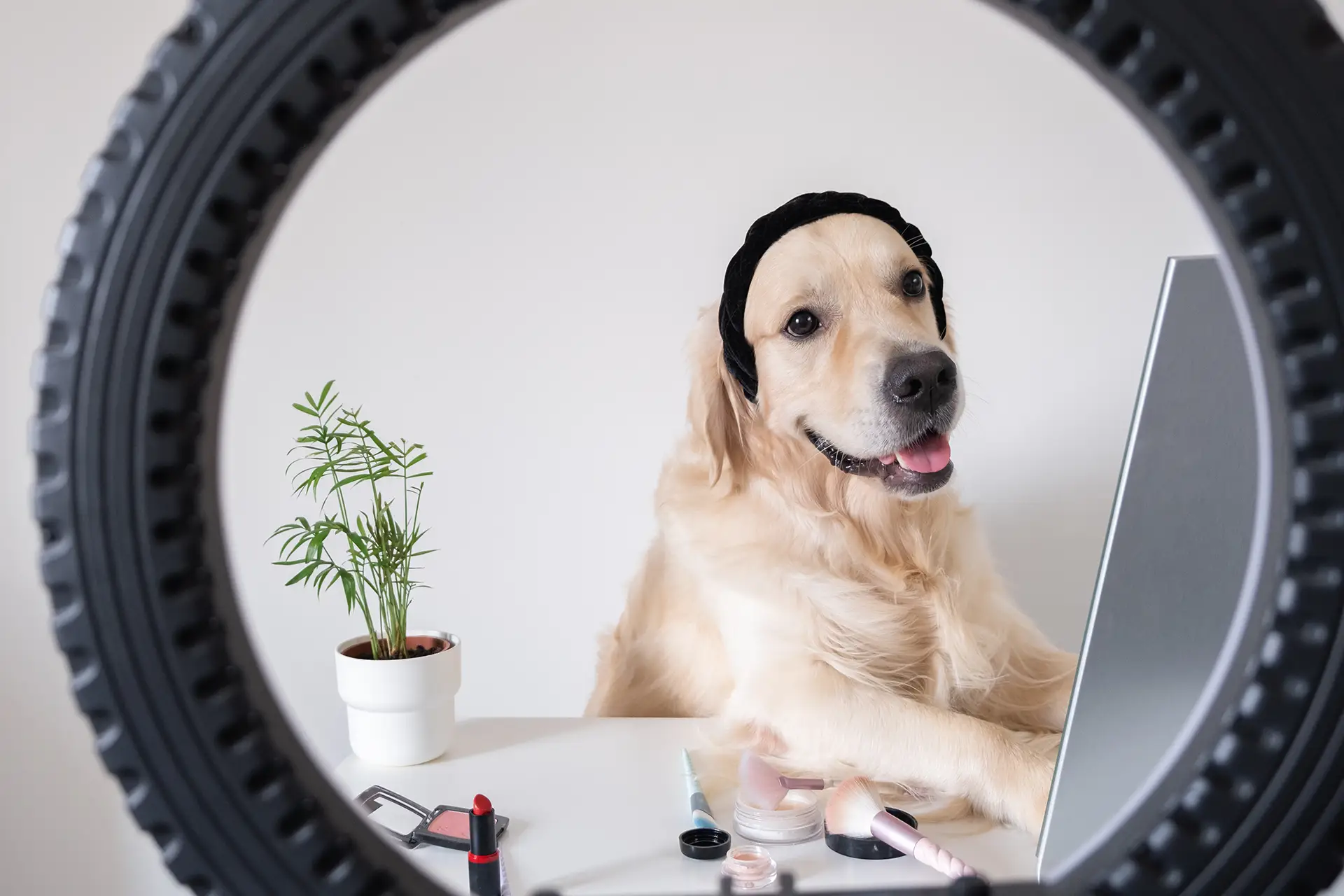5 Critical Points to Consider in Influencer Selection